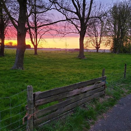 Vakantiehuis Aan Het Bos - Gelegen Aan De Tulpenroute Bant Экстерьер фото