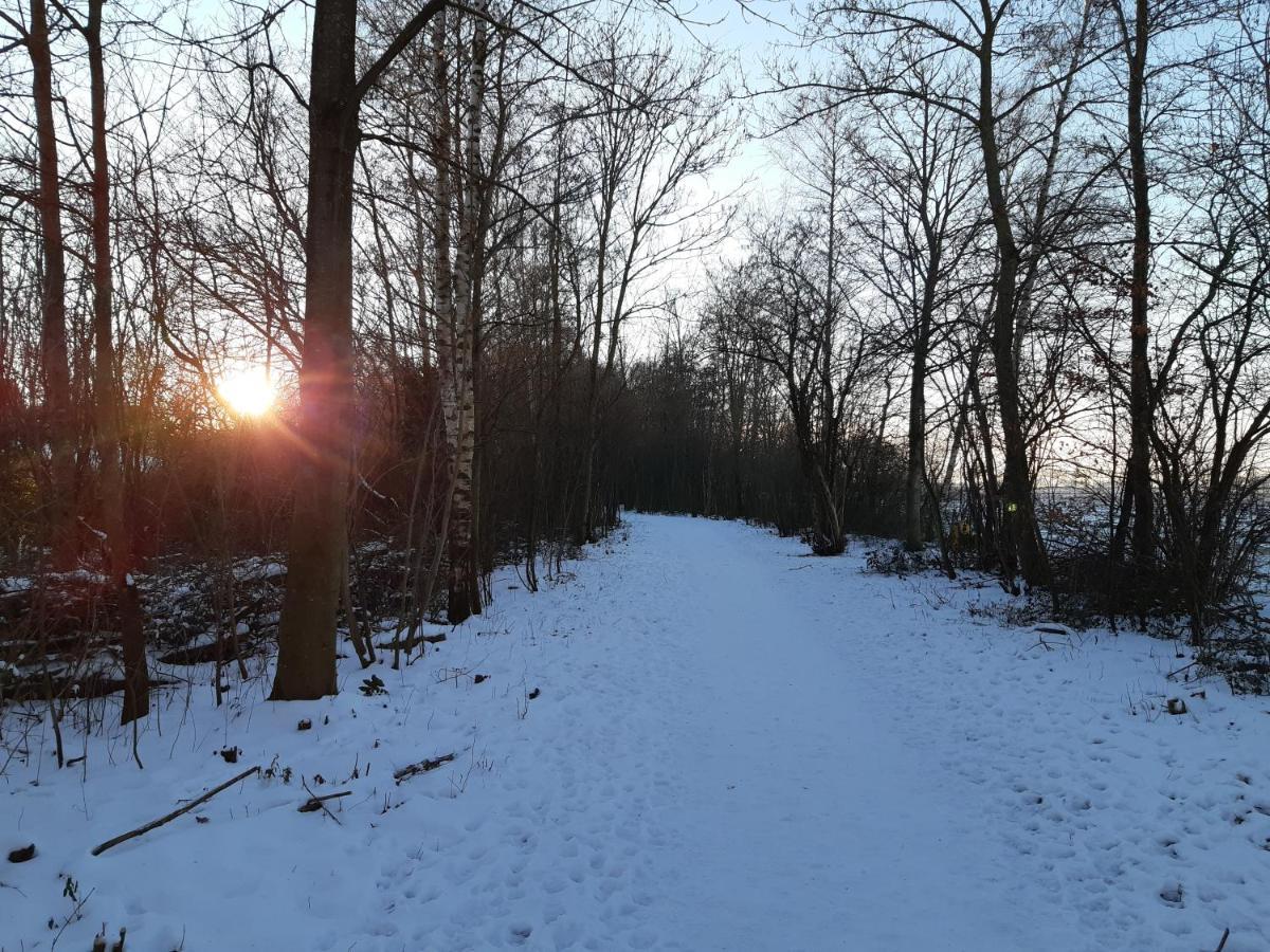 Vakantiehuis Aan Het Bos - Gelegen Aan De Tulpenroute Bant Экстерьер фото