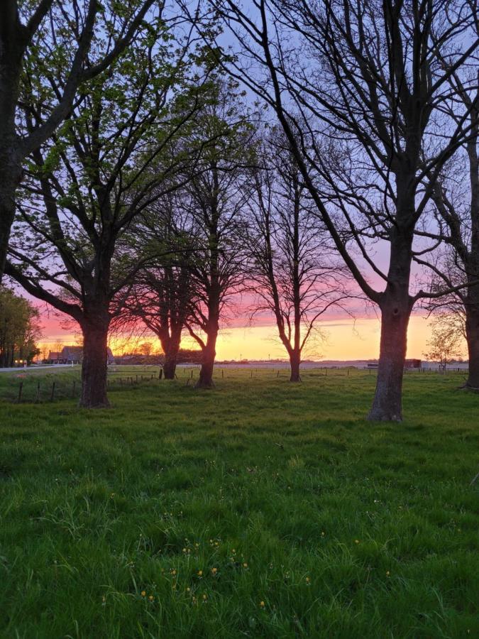 Vakantiehuis Aan Het Bos - Gelegen Aan De Tulpenroute Bant Экстерьер фото